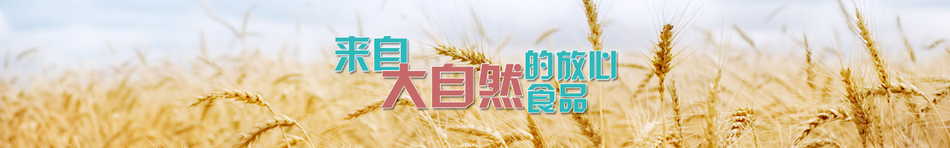 內(nèi)頁banner