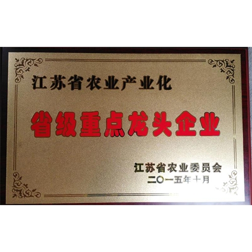 省級重點龍頭企業(yè)